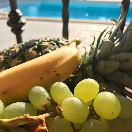 Daisy Semesterbostad *